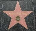 3714_Walk_of_Fame_-_Kermit
