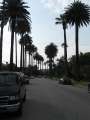 3733_Beverly_Hills