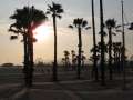3758_Venice_beach
