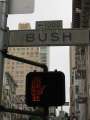 3786_Stop_Bush
