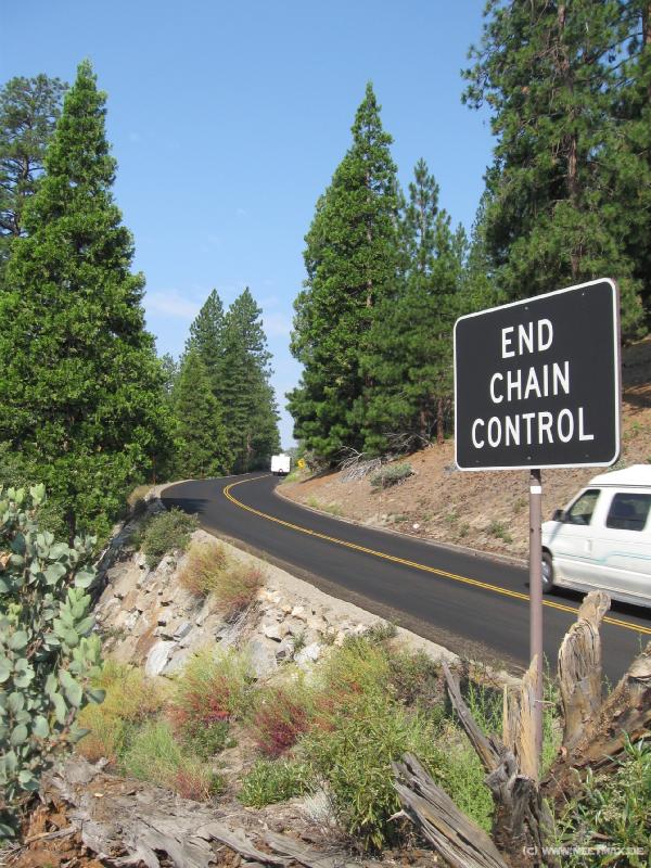 3980