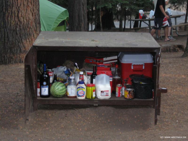 4085_Bear_box
