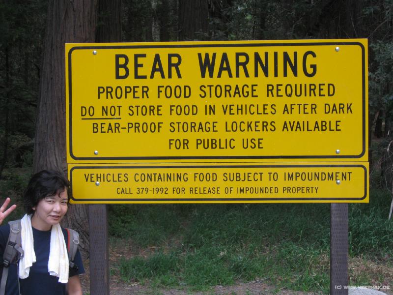 4267_Bear_warning