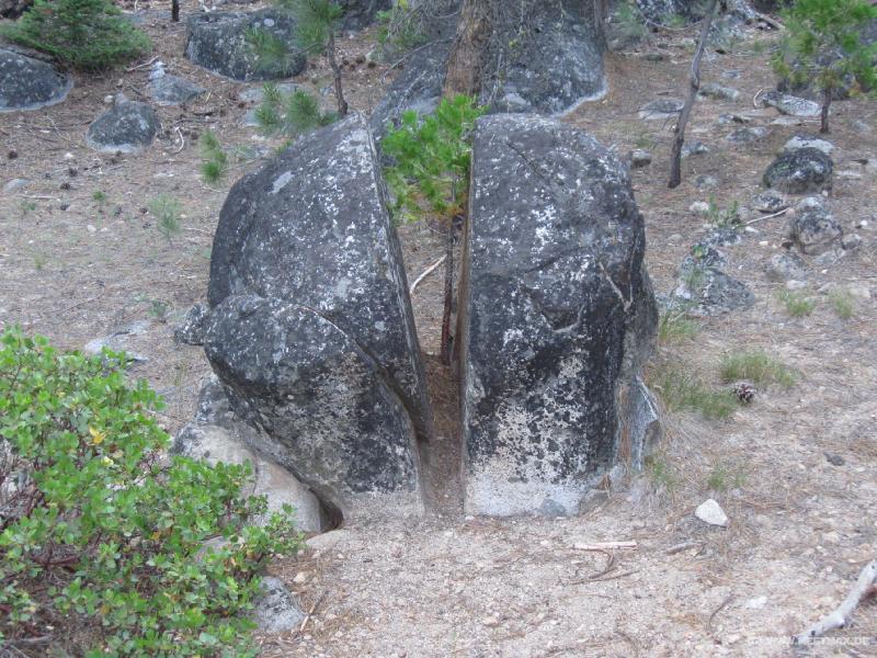 4442_Cut_stone