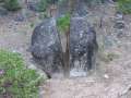 4442_Cut_stone