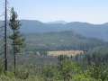 4488_Big_Meadow
