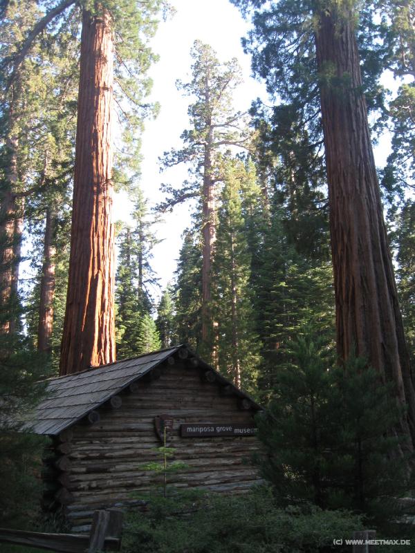 0047_Mariposa_Grove_Museum