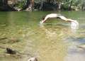 0069_Swimmer