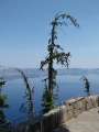 0279_Crater_Lake
