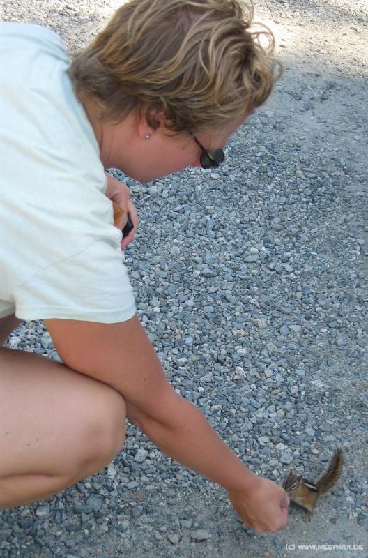 0847_Squirrel_feed