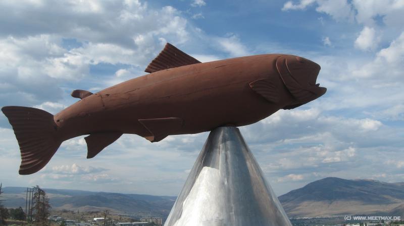 1066_Kamloops_fish