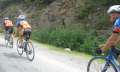 0982_Bikers