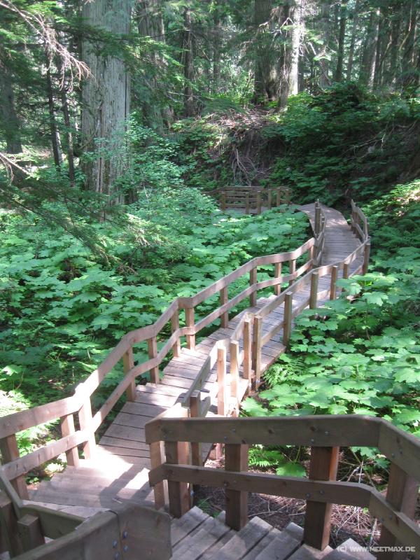 1098_Mt_Revelstoke_NP