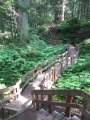 1098_Mt_Revelstoke_NP