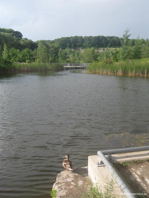 1593_Weston_Quarry_Garden