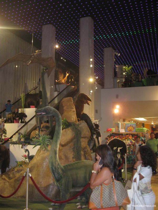 2018_FAO_Schwarz