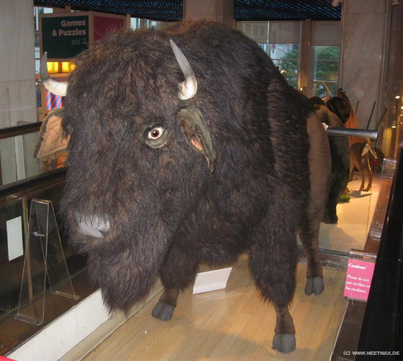 2020_FAO_Schwarz