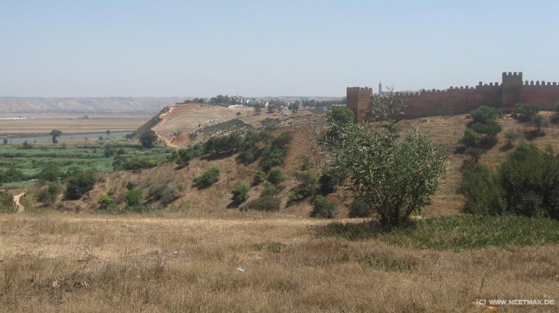 2199_Chellah