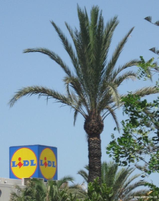 2802_Lidl