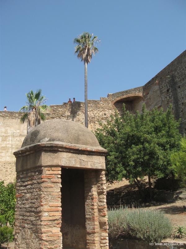 2973_Castillo_Gibralfaro