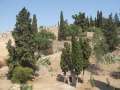 2976_Castillo_Gibralfaro