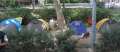 3474_Not_my_campsite