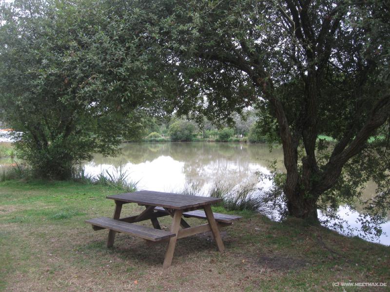 3501_Moulismes