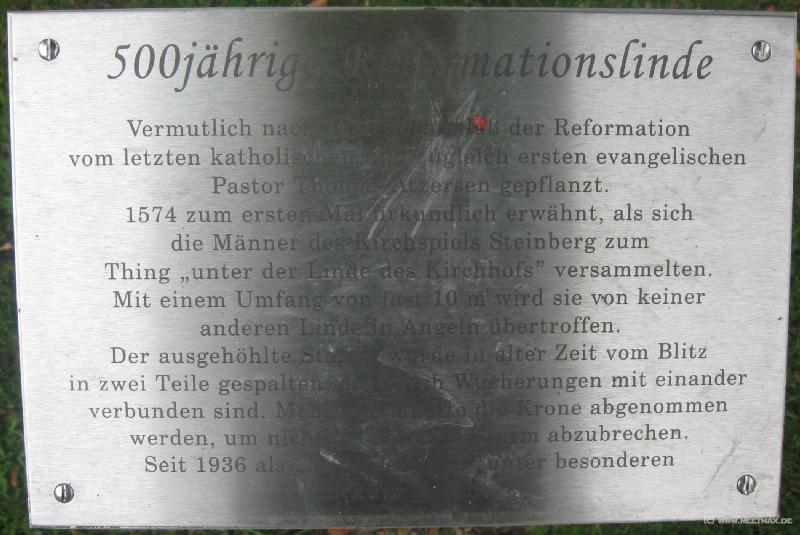 6678_Reformationslinde