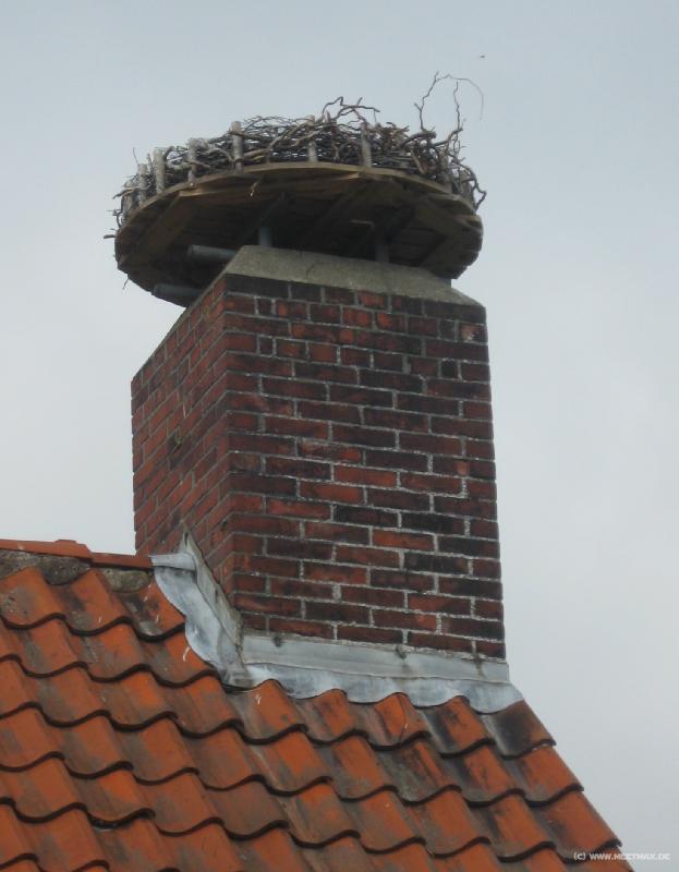 6794_Storchennest