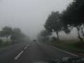 6786_Nebel