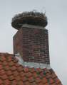 6794_Storchennest