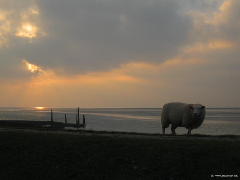 6902_Nordstrand_Nordhaven