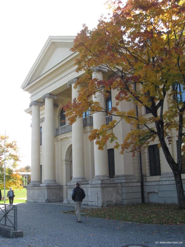 7293