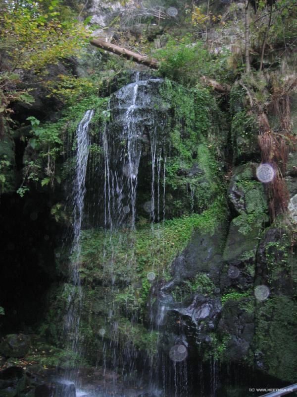 7462_Amselrinnsal