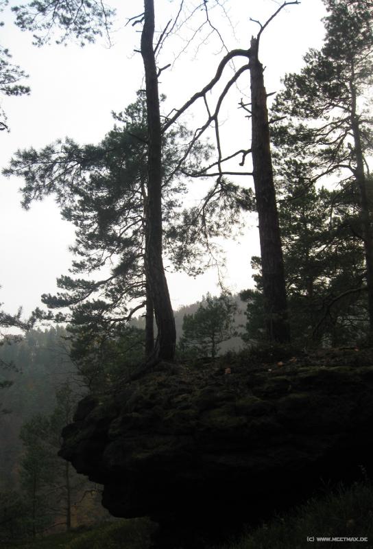 7636