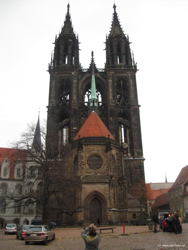8466_Dom