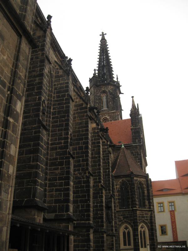 8468_Dom