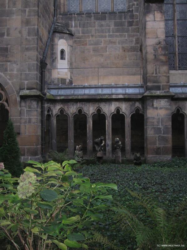 8473_Dom
