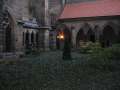 8472_Dom