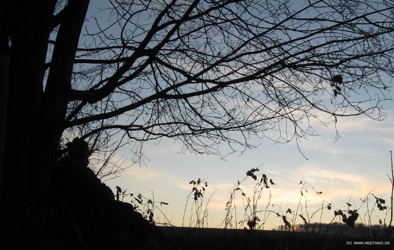 8757_Lookout_couch