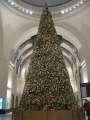 9161_Weihnachtsbaum_im_Hbf