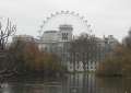 9496_London_Eye#