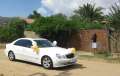 9872_Looking_for_the_wedding
