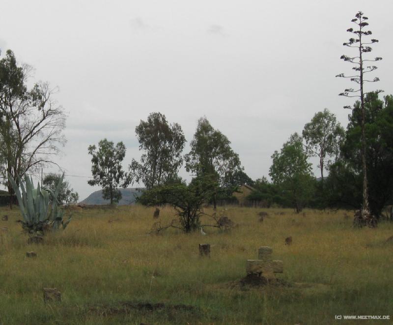 9896_Graveyard