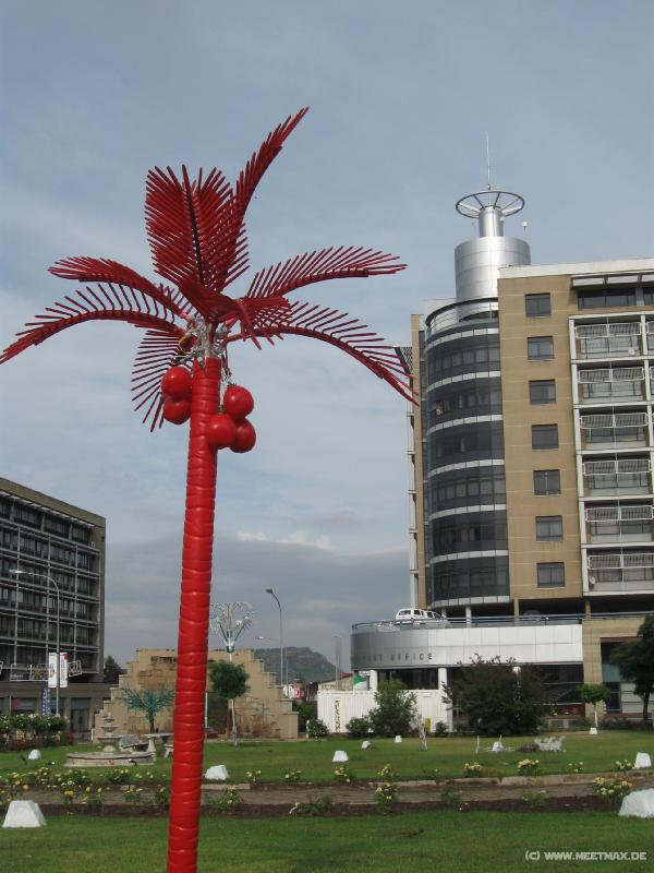 9925_Red_palm