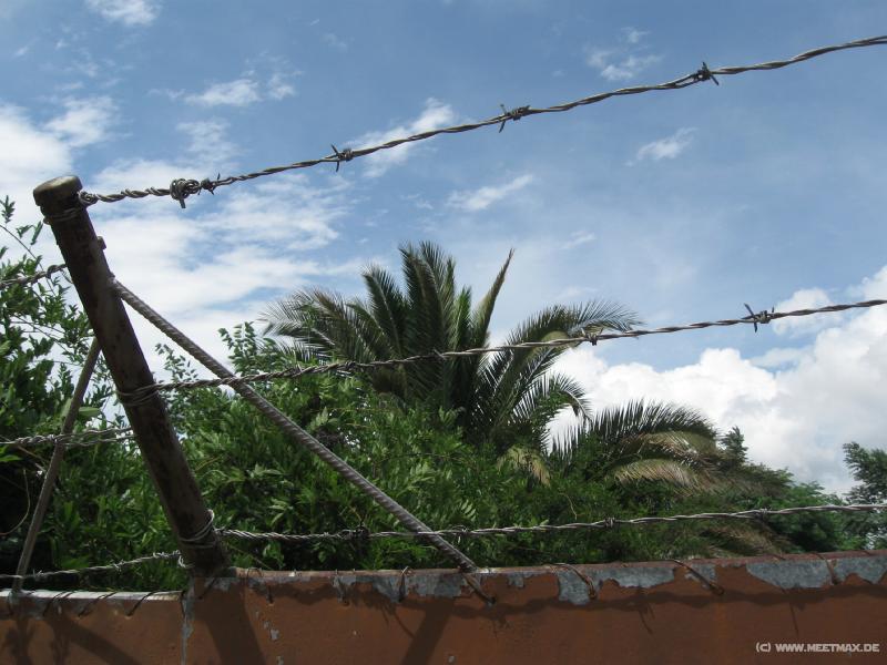9943_Barb_wire