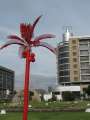 9925_Red_palm