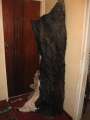 9938_Funeral_cow