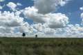 0981_Clouds