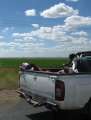 1003_Pickup